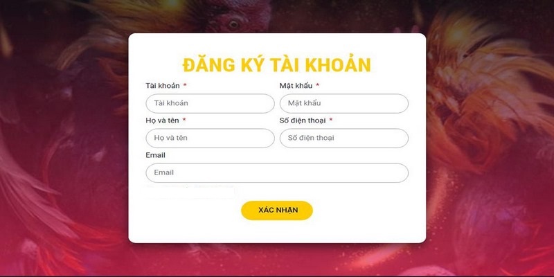 Chi tiết nội dung điều khoản dịch vụ 1XBET