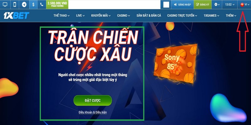 Liên hệ chăm sóc khách hàng 1XBET