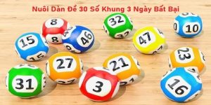 Kinh Nghiệm Nuôi Dàn Đề 30 Số Khung 3 Ngày Từ A Đến Z 