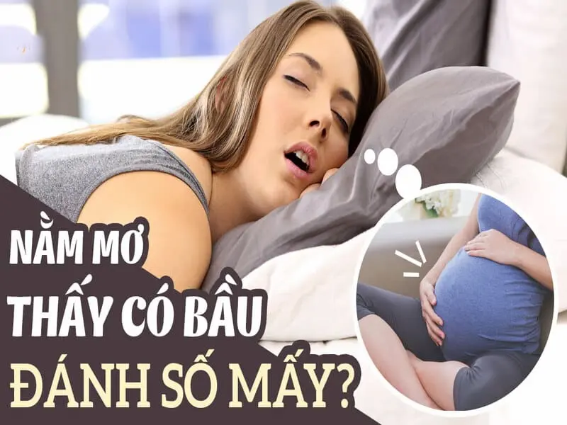 Nằm mơ thấy có bầu đánh số gì?