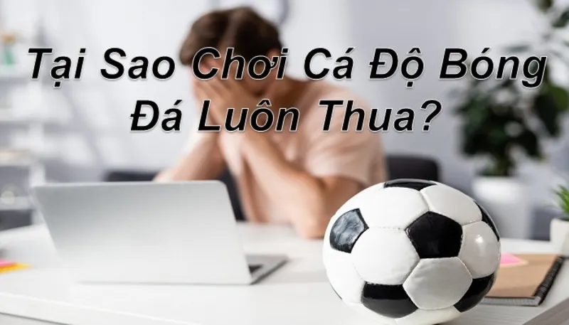 Cách khắc phục khi chơi cá cược thể thao thua