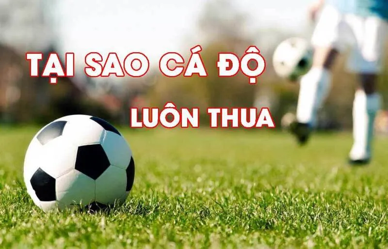 Tại sao cá cược thể thao thua?